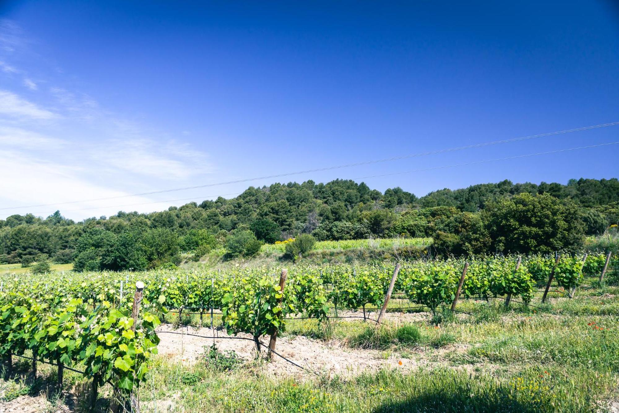 Domaine Des Peyre Διαμέρισμα Robion en Luberon Εξωτερικό φωτογραφία