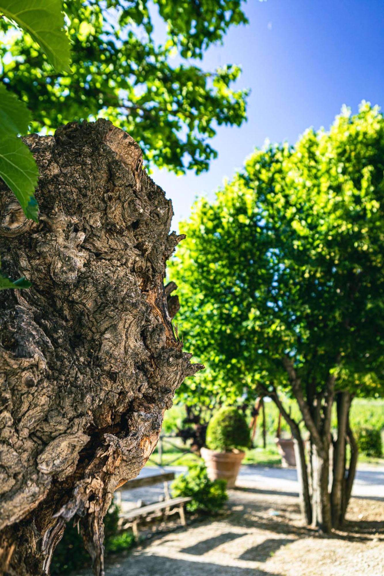 Domaine Des Peyre Διαμέρισμα Robion en Luberon Εξωτερικό φωτογραφία