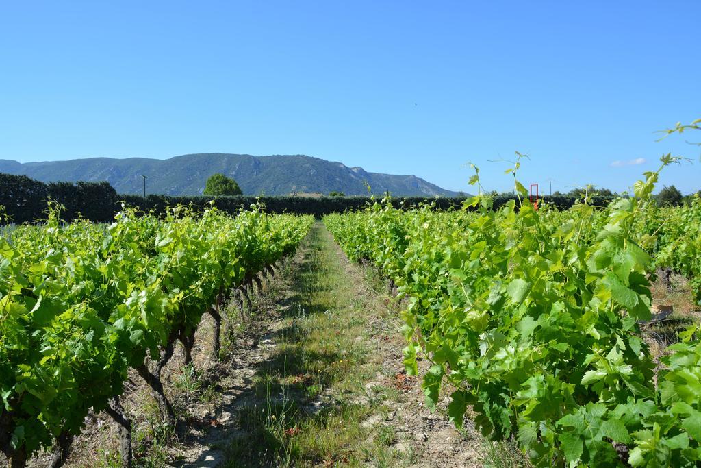 Domaine Des Peyre Διαμέρισμα Robion en Luberon Εξωτερικό φωτογραφία